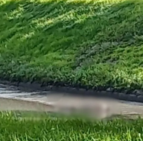 Bogotá hoy: hallan un cuerpo flotando en un caño de la Calle 80, noroccidente