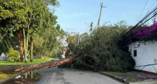 Árbol cayó en barrio La Floresta (Bogotá) y tiene atrapadas a cinco personas de una misma familia en una casa del sector. Llevan 2 horas incomunicadas.