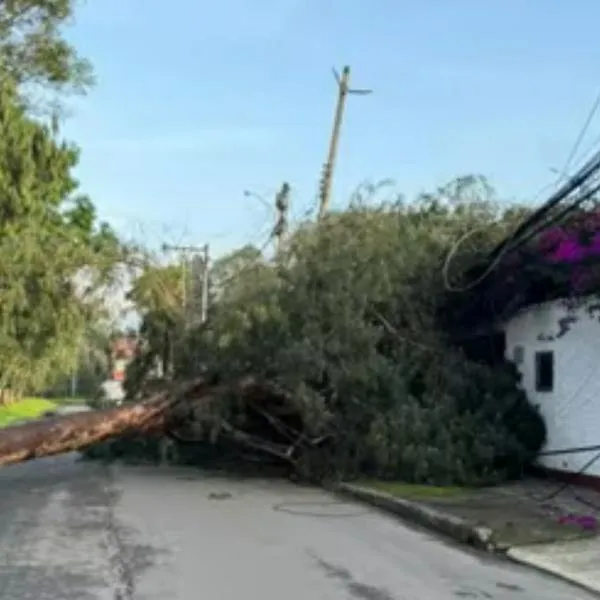 Árbol cayó en barrio La Floresta (Bogotá) y tiene atrapadas a cinco personas de una misma familia en una casa del sector. Llevan 2 horas incomunicadas.