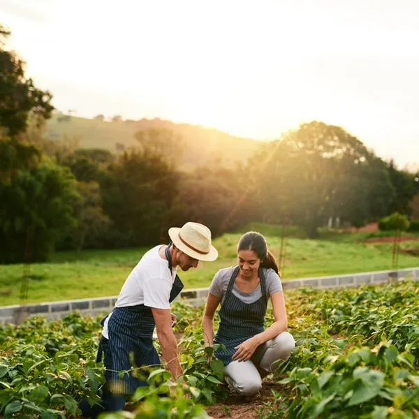 Ecosistema Agro: la iniciativa de Davivienda para fortalecer el desarrollo económico, social y ambiental del sector agropecuario colombiano.