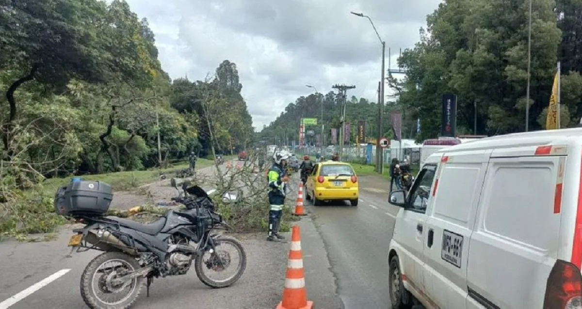 Caída de árbol mató a una persona en la Autopista Norte en Bogotá: hay trancón hoy