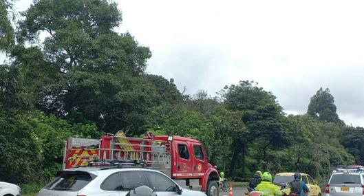 Padre de joven que murió en caída de árbol hizo llamado a alcaldía de Bogotá