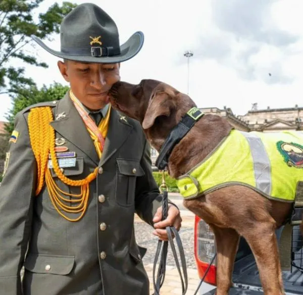 Perro policía que trabajó en Presidencia y fue sometido a la eutanasia: por qué
