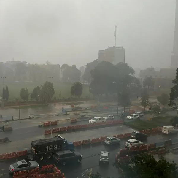 Bogotá hoy: fotos de aguacero en el norte con fuertes vientos y trancones