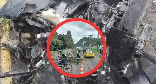 ¿Quién era la joven que murió por caída de árbol en Autopista Norte?