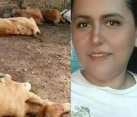 Mujer perdió la vida por manipular un celular conectado; 12 vacas también murieron