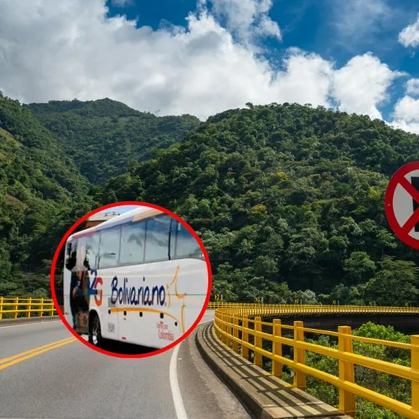 ¿Cuánto vale el pasaje de Bogotá a Villavicencio en Flota la Macarena? 