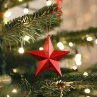 ¿Dónde comprar árbol de Navidad en Bogotá?