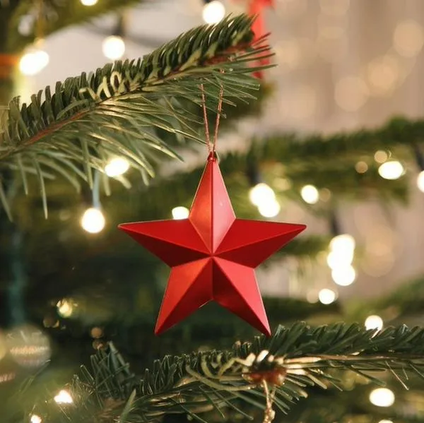 ¿Dónde comprar árbol de Navidad en Bogotá?