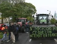 Los diputados franceses respaldan la oposición del Gobierno al acuerdo UE-Mercosur