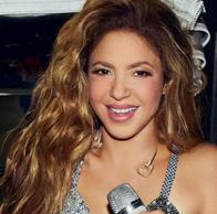 Shakira mostró cómo festejó el Día de acción de gracias: estaba sin sus hijos