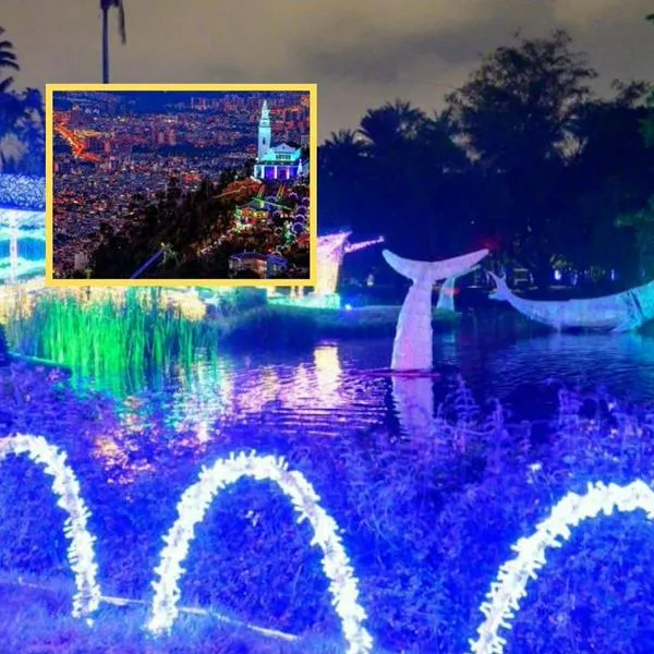 ¿Qué entrada es más barata en diciembre para ver alumbrados, Monserrate o Jardín Botánico?
