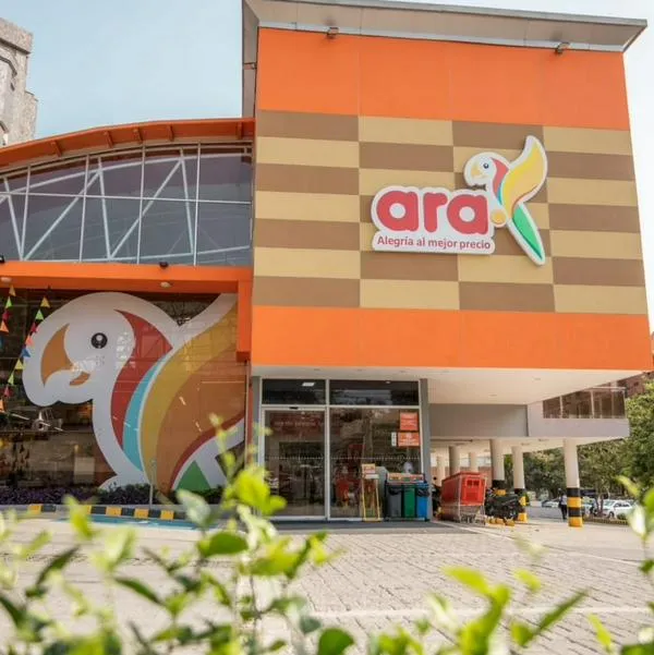 Ara sacó micrófono económico para crear contenido.
