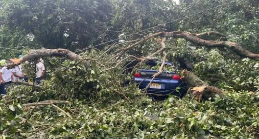 Así quedó el carro al que le cayó un árbol en Arjona, Bolívar. El conductor murió electrocutado con unos cables