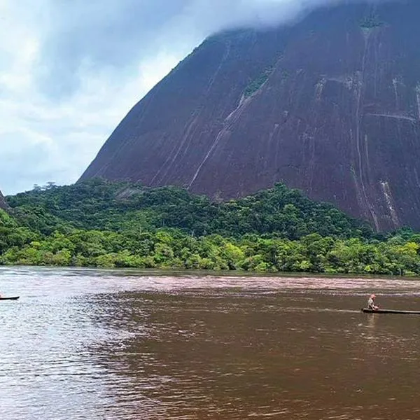 ¿Cómo se llega a Guainía desde Bogotá? 