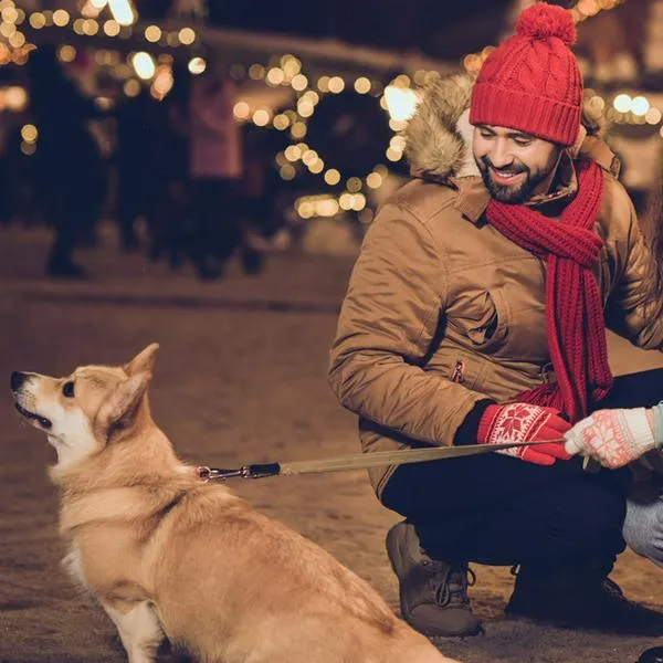 ¿Qué hacer con los perros en Navidad? 