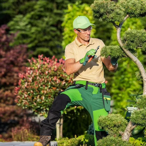 Podador de árboles, en nota sobre oferta de trabajo para colombianos en Canadá