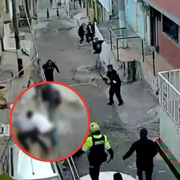 Así fue la riña en la que una pitbull atacó a una niña y una abuela en Ciudad Bolívar, Bogotá
