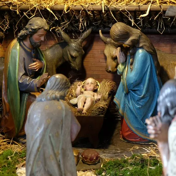 El problema del musgo en el pesebre.