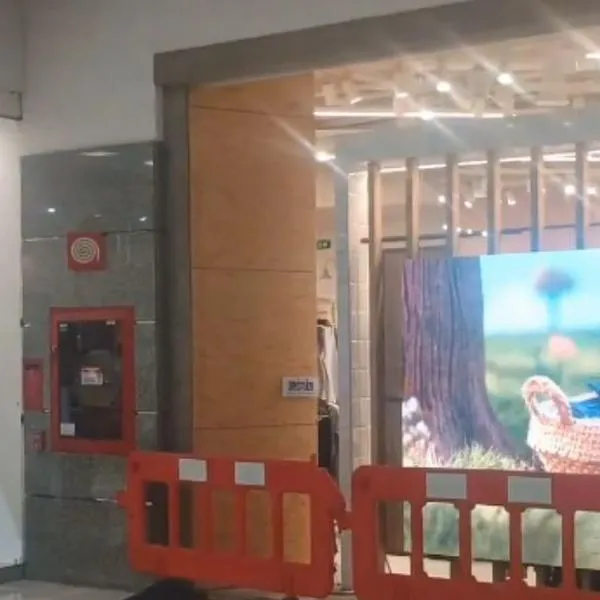 Niña de 5 años que murió en Gran Estación estaba viva cuando le cayó el vidrio