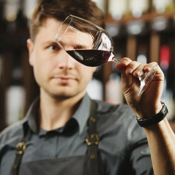 Por qué no se debe poner un corcho en una botella de vino cuando ya fue abierta: detalles y error