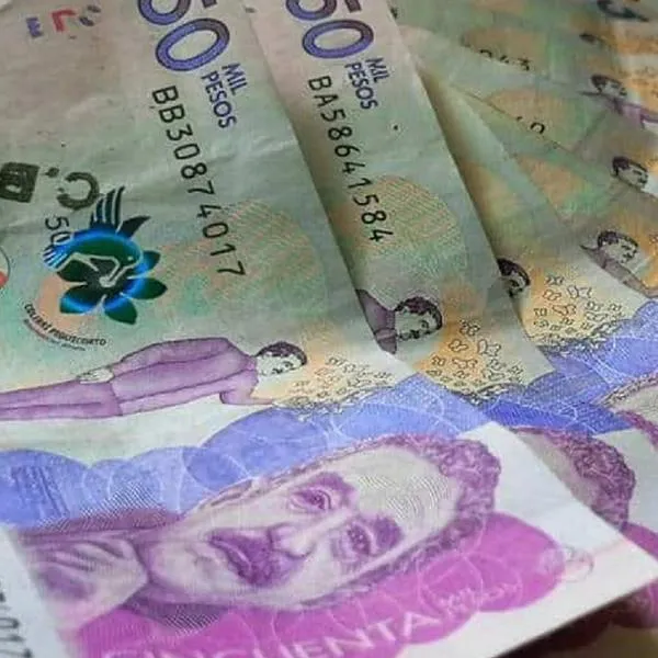 Hasta $ 600.000 en Renta Ciudadana y Devolución de IVA no reclamados aún