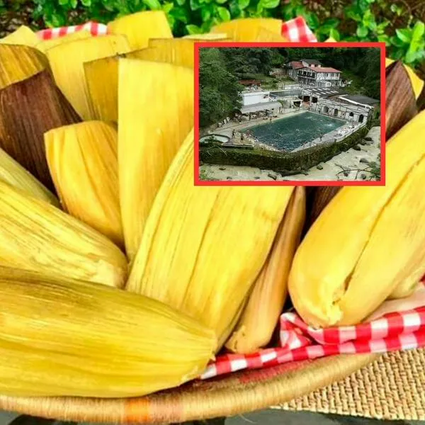  ¿Cuál es el mejor envuelto de mazorca de Cundinamarca? Muy cerca de Bogotá