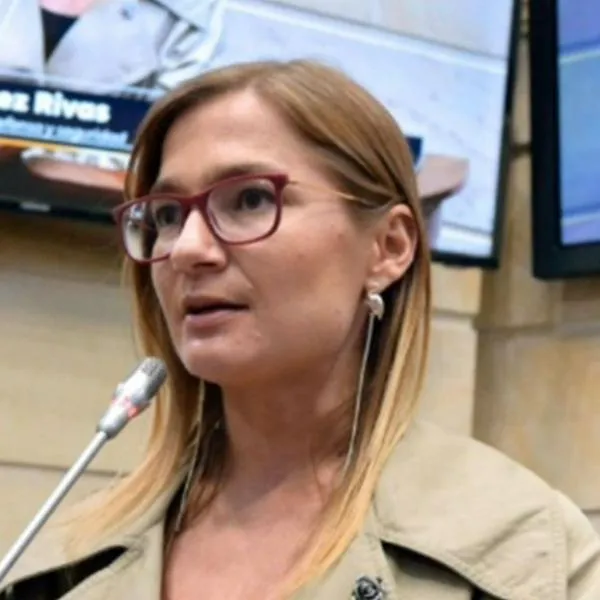 La viceministra de Defensa para las Políticas de Seguridad, Daniela Gómez Rivas, renunció a su cargo debido a motivos personales. 
