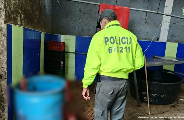 Red criminal vendía carne de animales enfermos a programas públicos en Boyacá, entre ellos al PAE