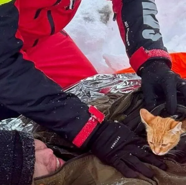 Gata salvó la vida de su dueño quien huía de la guerra entre Rusia y Ucrania