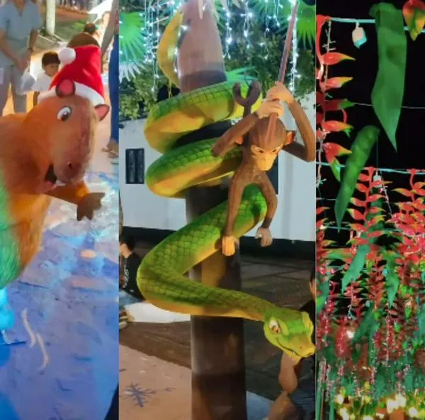 Alumbrado de Navidad en Pore: el más criollo de Colombia