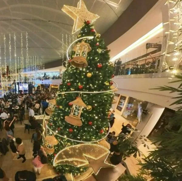 Estos son los famosos que están llegando a centro comercial en Bogotá para hacer novenas: Diva Jessurum, Pilar Schmitt y más.