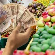 Salario mínimo tuvo aumento de 9,54 % para 2025 en Colombia, pero expertos advierten que por precio de alimentos no superaría el 9,54%.