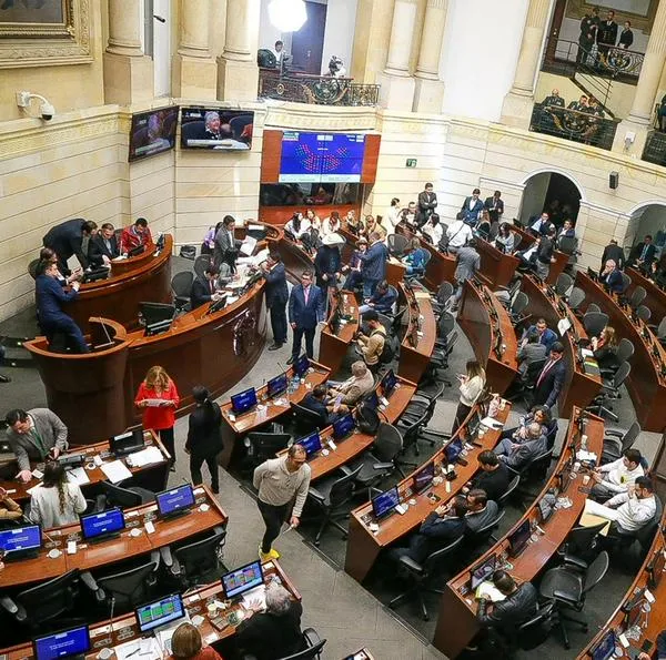 Si Gobierno Petro recibe palo por inacción, el Congreso también tiene pendientes