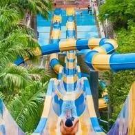 ¿Cuánto cuesta entrar a Piscilago para fin de año?