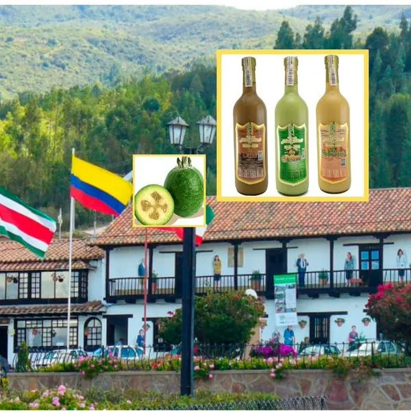 ¿Dónde comprar sabajón de feijoa en Boyacá? Pueblo es capital mundial de la feijoa