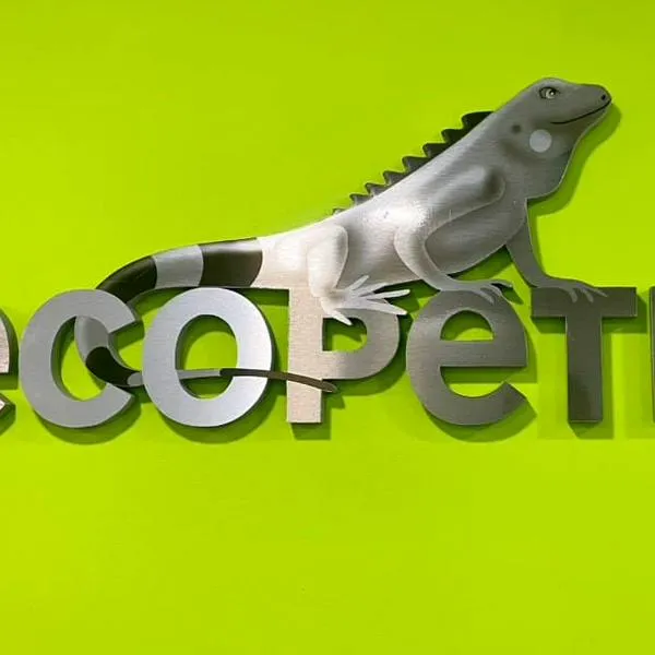 Ecopetrol, mal calificada por Citi Bank, que sembró duda para elecciones 2026
