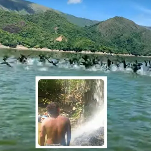 Fotos de represa de Prado, en nota de cuánto cuesta la entrada a represa de Prado, Tolima: así se llega desde Bogotá