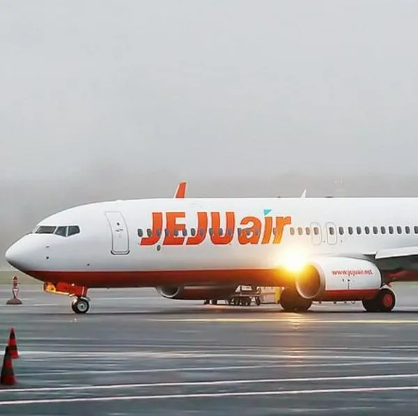 Accidente avión Corea del Sur: aerolínea Jeju Air ha tenido 67.000 cancelaciones
