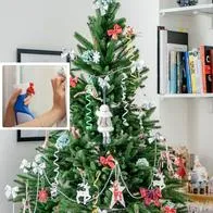 Fotos de árbol de Navidad y limpieza, en nota de cómo se limpia el árbol de Navidad, en truco con solo un ingrediente de cocina