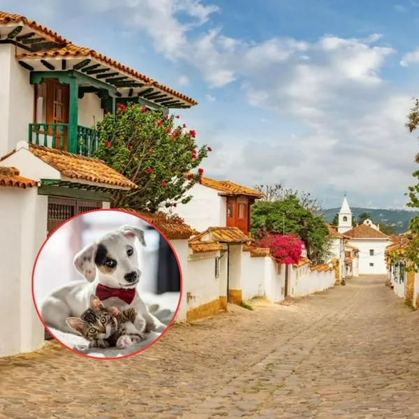 Restaurantes 'pet-friendly' en Villa de Leyva