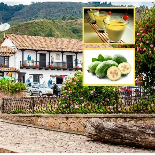 ¿Cuál es el pueblo de la feijoa? Es en Boyacá y es la capital mundial de la feijoa