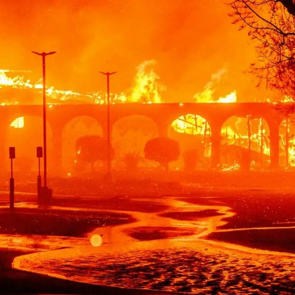 Grave incendio en Los Ángeles, Estados Unidos, afecta a más de 30.000 personas. Cientos de personas han abandonado sus viviendas.