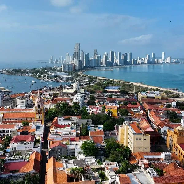 Así será la renovación en Cartagena.