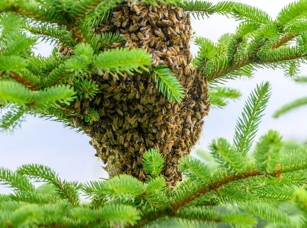 Antioquia HOY: enjambre de abejas atacaron a personas y bomberos en plena calle