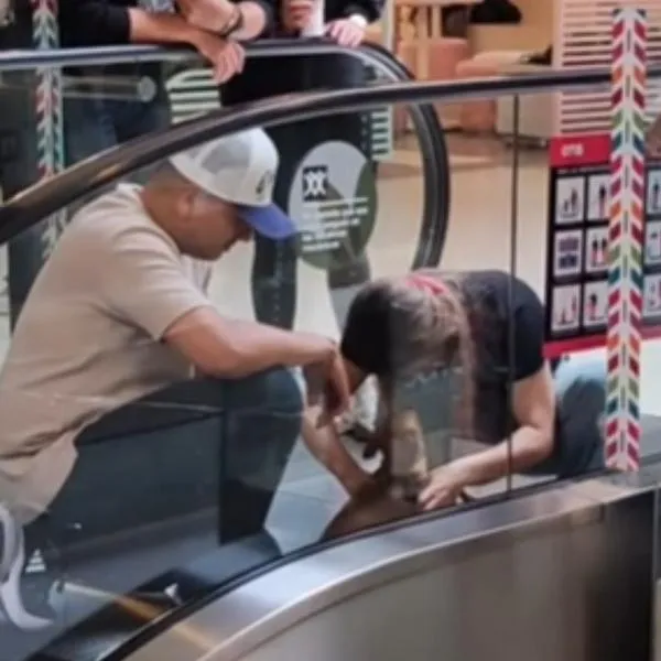Perro queda atrapado en escaleras eléctricas en un centro comercial de Bogotá