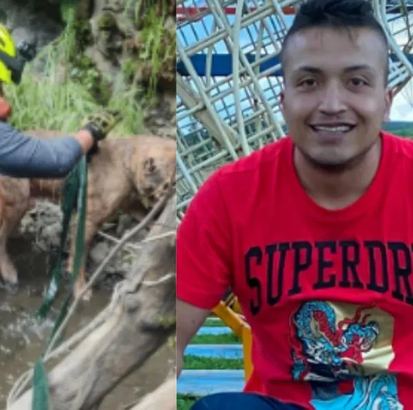 Joven desapareció cuando se lanzó a un río para salvar a su perro