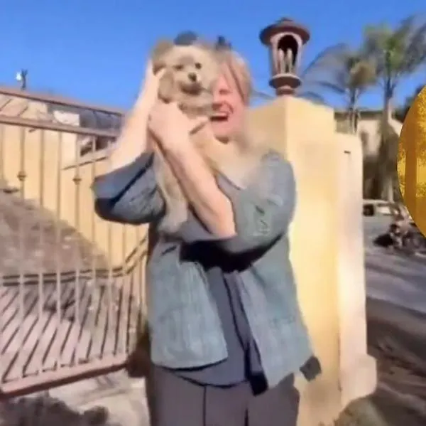 Hombre se reencuentra con su perro luego de incendios en Los Ángeles Video