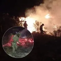 Incendio forestal en el Parque Nacional de Chingaza: videos e imágenes de todo