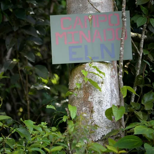 Conflicto en Catatumbo fue advertido a Gobierno en noviembre y no hizo caso